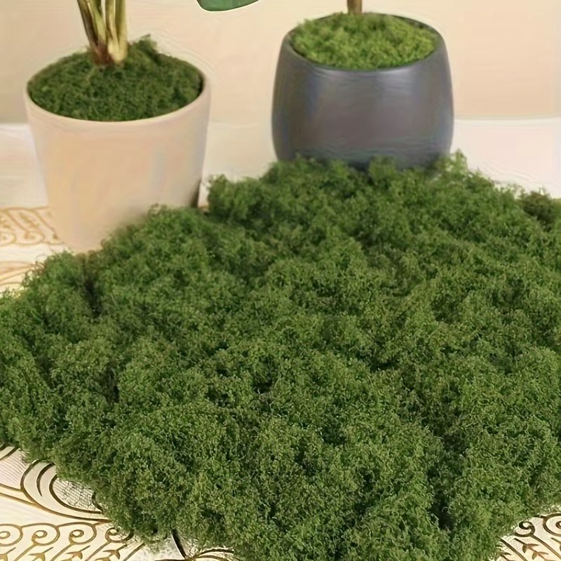 Terrarium Moss Art - 50g Green Fake Moss DIY Crafts