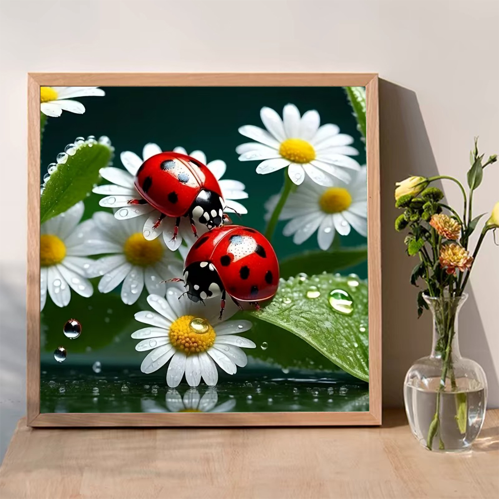 Momoart Diamond Painting Ladyb - Resin Craft For Beginners recension och pris