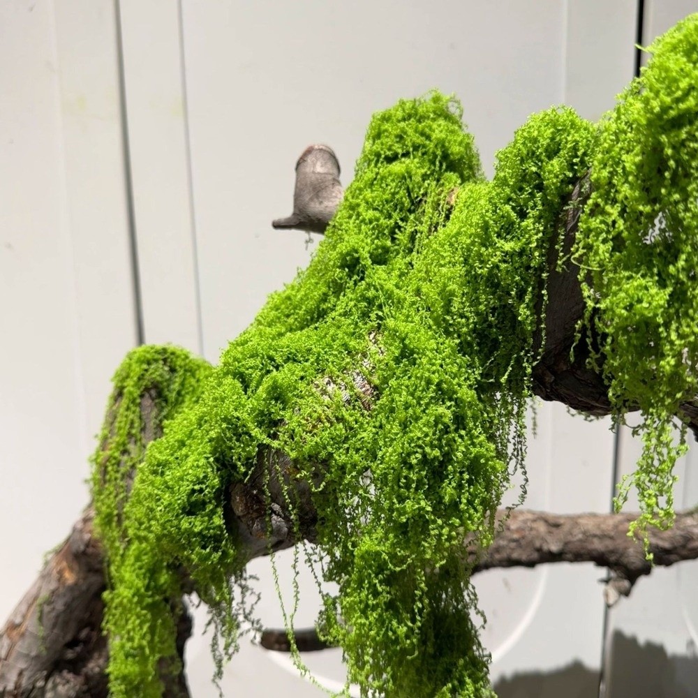 Polyester Artificial Moss Plan - Terrarium Moss Art recension och pris