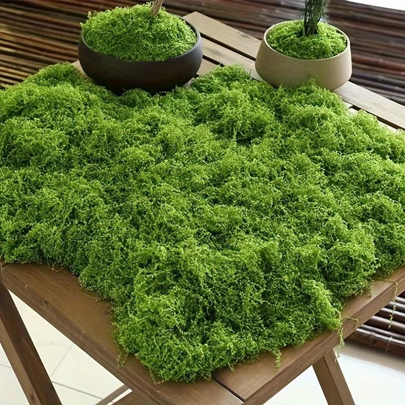 50g Green Fake Moss DIY Crafts - Terrarium Moss Art recension och pris