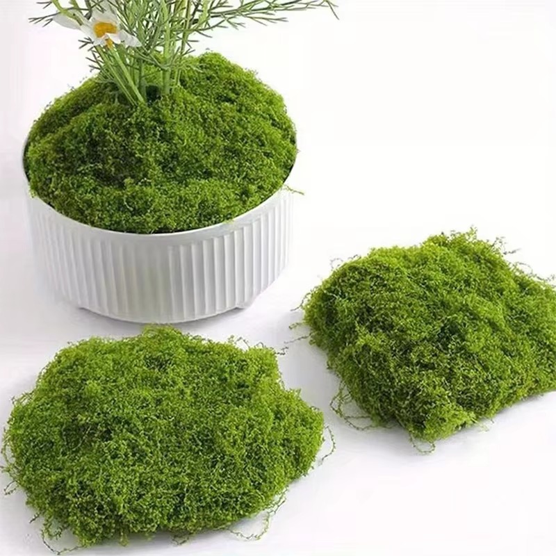 50g Green Fake Moss DIY Crafts - Terrarium Moss Art recension och pris
